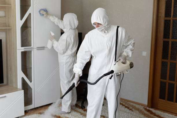 Best Certified Mold Removal  in Mount Carmel, OH