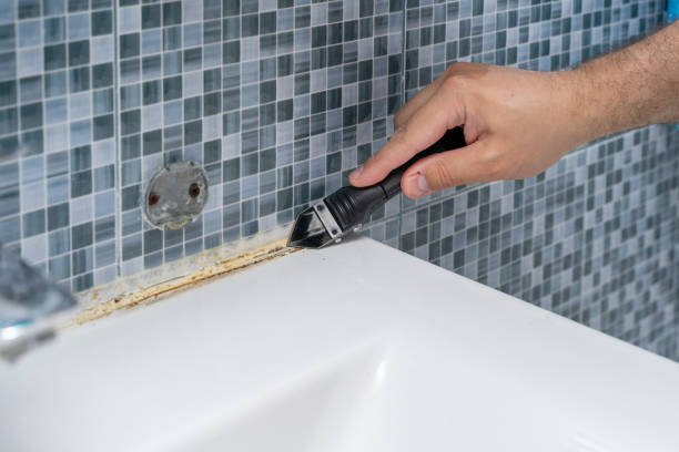 Best Attic Mold Removal  in Mount Carmel, OH