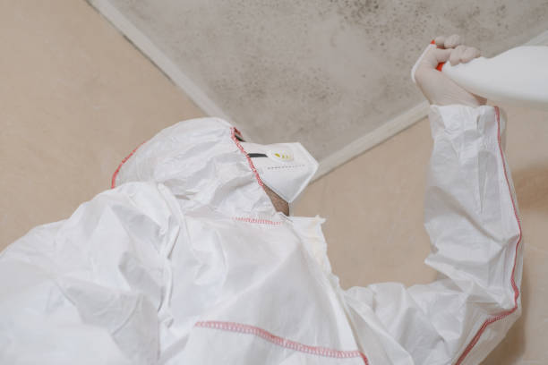 Best Toxic Mold Removal  in Mount Carmel, OH