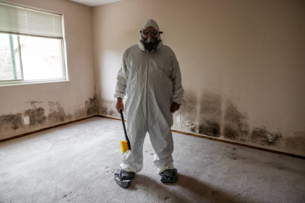 Certified Mold Removal in Mount Carmel, OH
